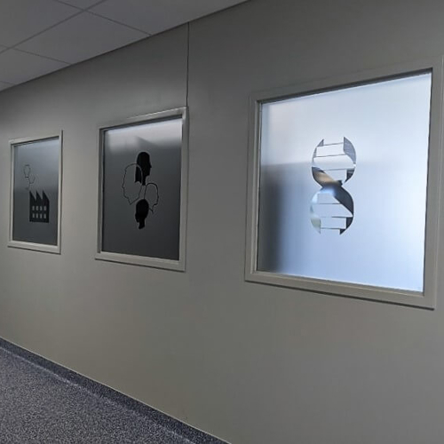 Frosted Window Graphics